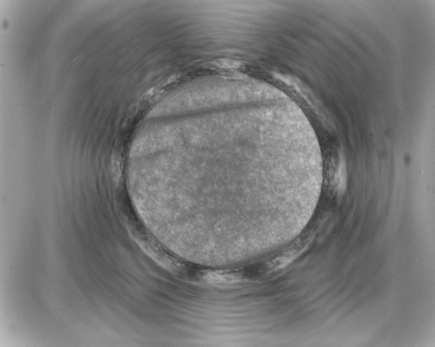 X0000085260568200704092117