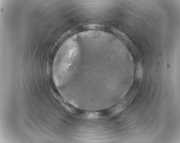 X0000085260569200704092117