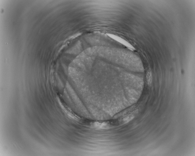 X0000085260570200704092117