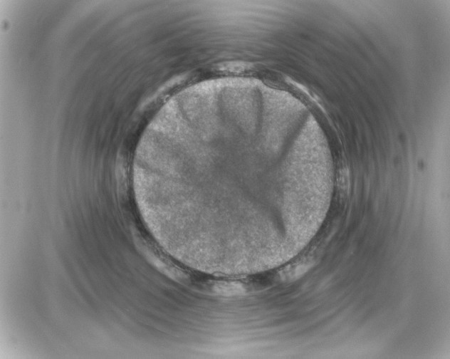 X0000085260572200704092117