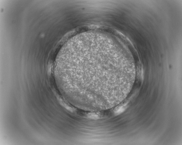 X0000085260574200704092117