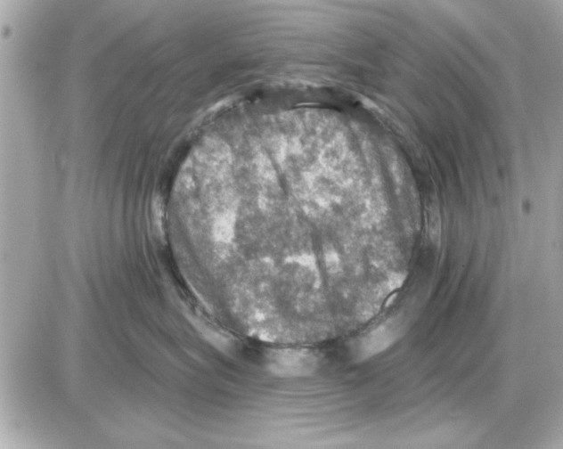 X0000085260575200704092117