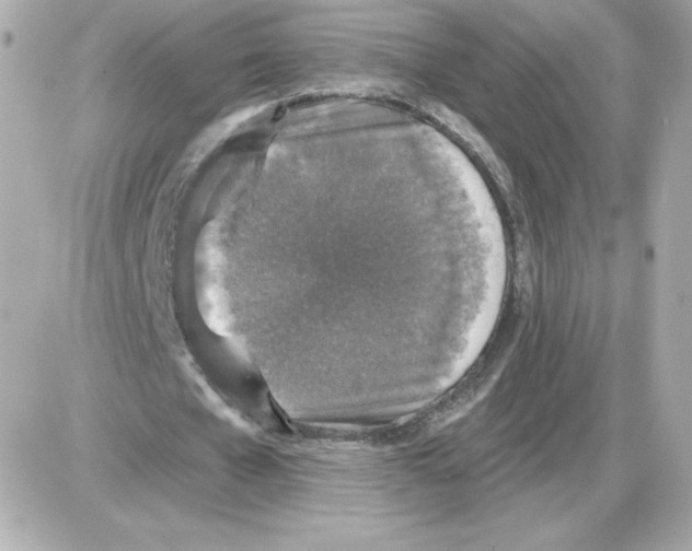 X0000085260577200704092117