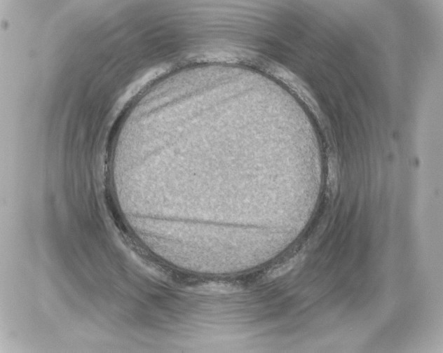 X0000085260578200704092117