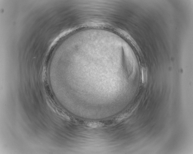 X0000085260579200704092117