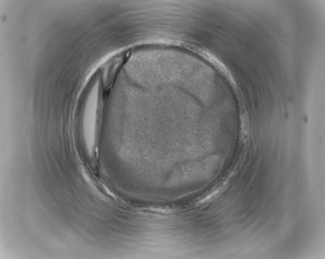 X0000085260580200704092117