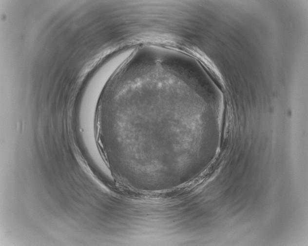 X0000085260581200704092117