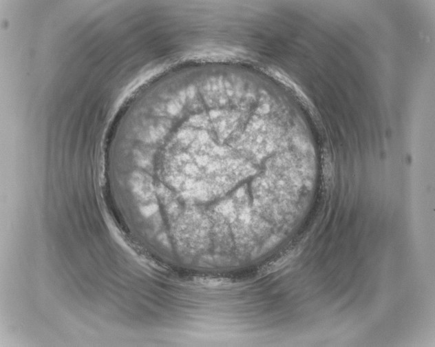 X0000085260582200704092116