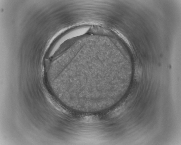 X0000085260584200704092116