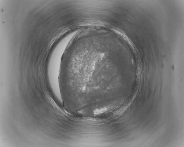 X0000085260585200704092116