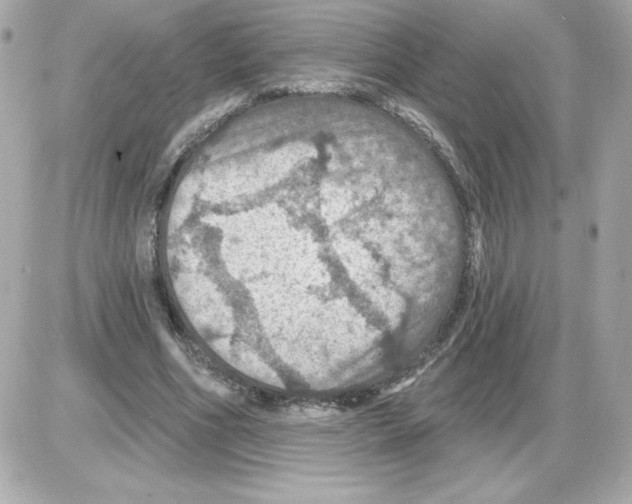 X0000085260586200704092116