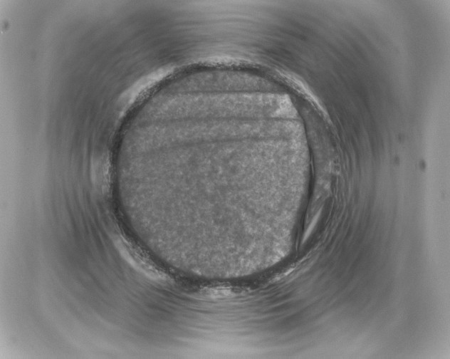 X0000085260588200704092116