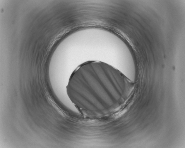 X0000085260589200704092116