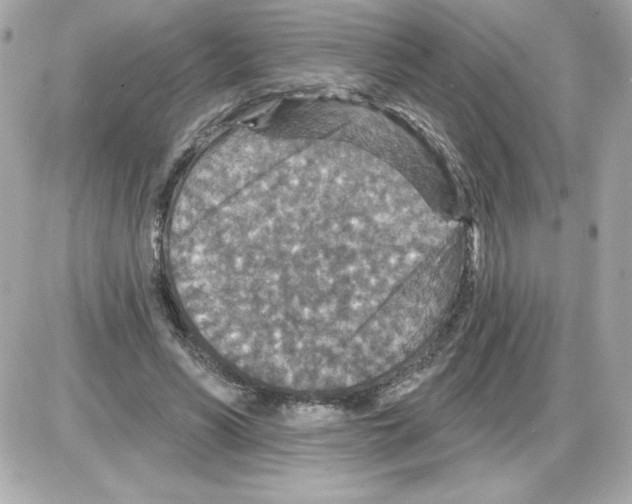 X0000085260590200704092116