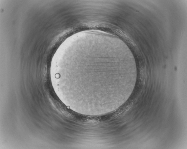 X0000085260592200704092116