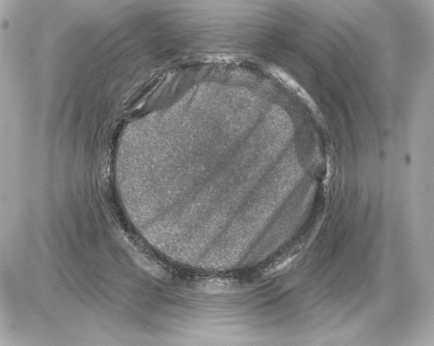 X0000085260593200704092116