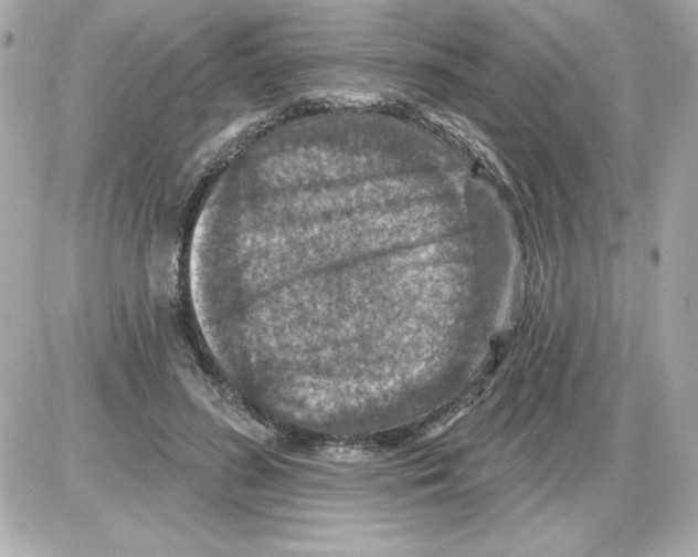 X0000085260596200704092116