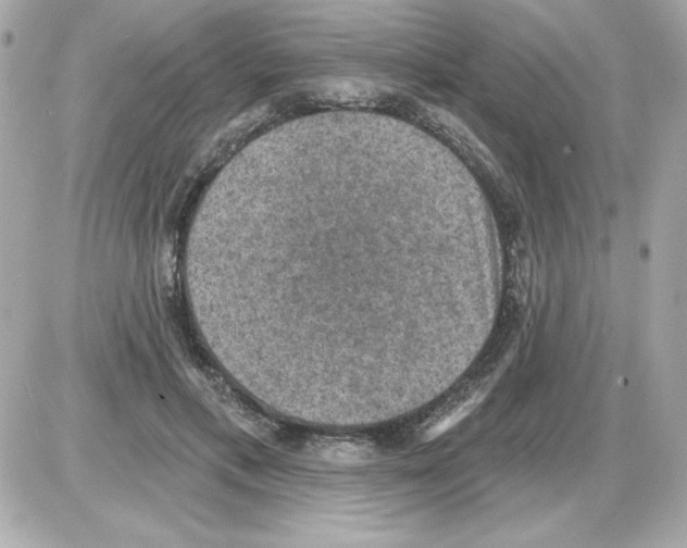 X0000085260597200704092116