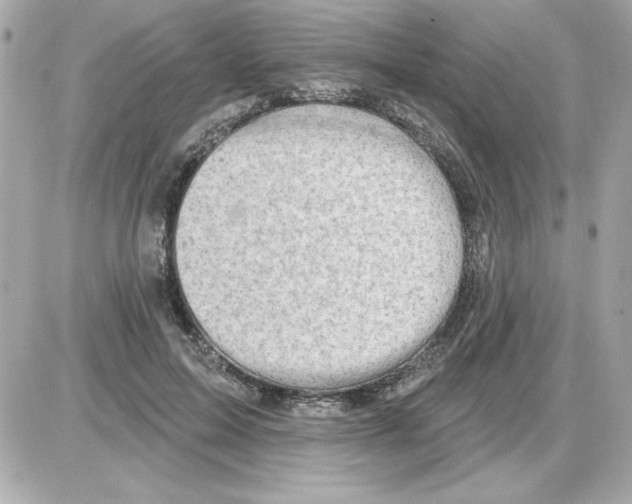 X0000085260599200704092116