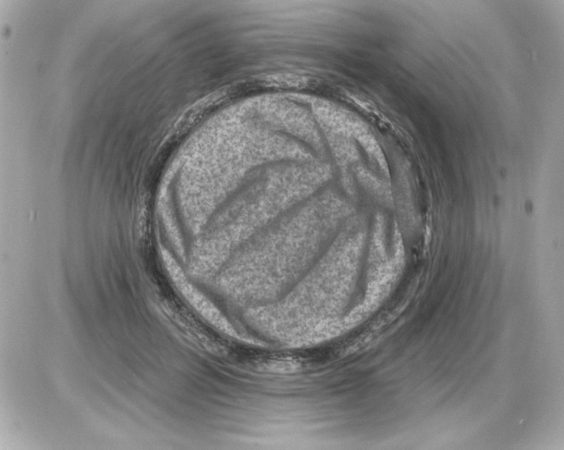 X0000085260600200704092116