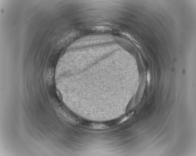 X0000085260605200704092116