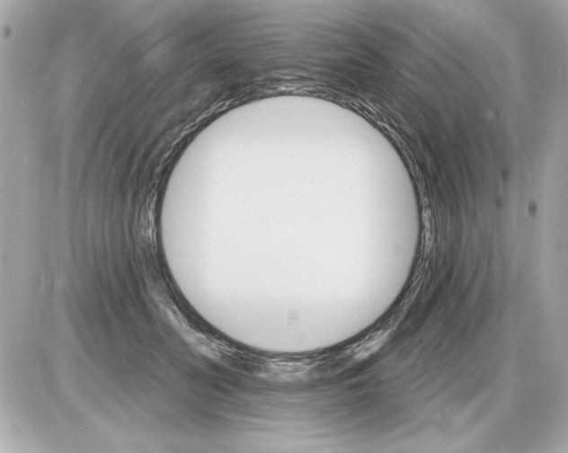 X0000085260606200704092116