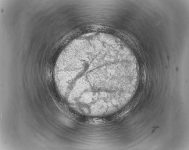 X0000085260607200704092116