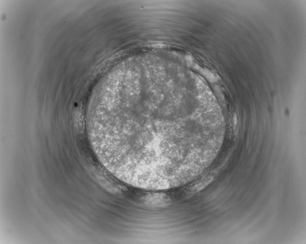 X0000085260609200704092116