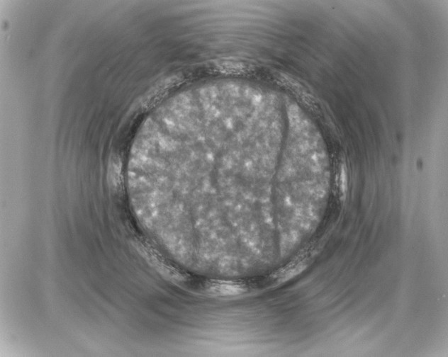 X0000085260610200704092116