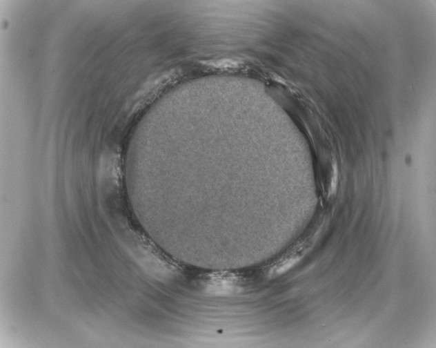 X0000085260612200704092116