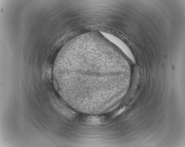 X0000085260613200704092116