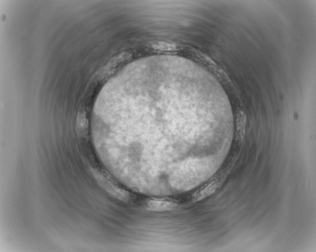 X0000085260614200704092116