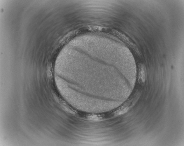 X0000085260616200704092116