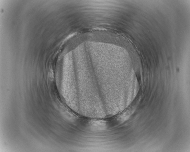 X0000085260617200704092116