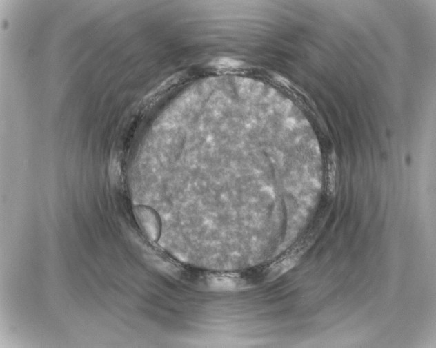 X0000085260618200704092116