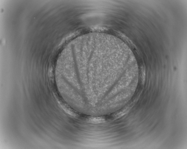 X0000085260619200704092116