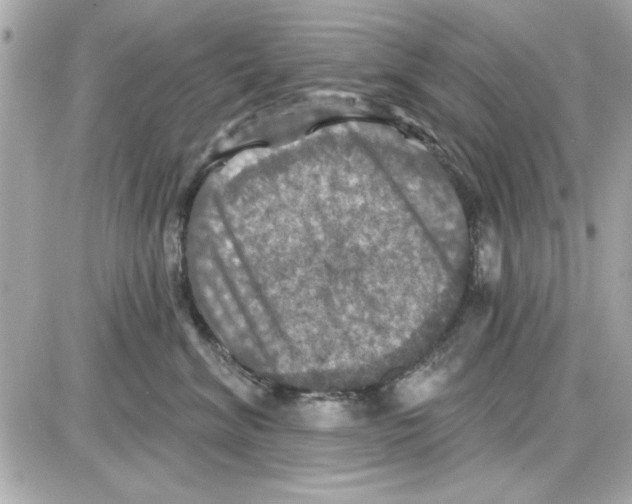 X0000085260620200704092116