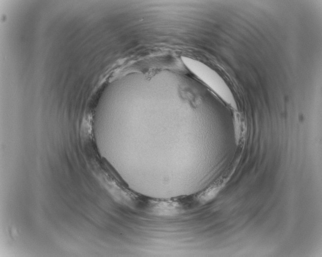 X0000085260621200704092116