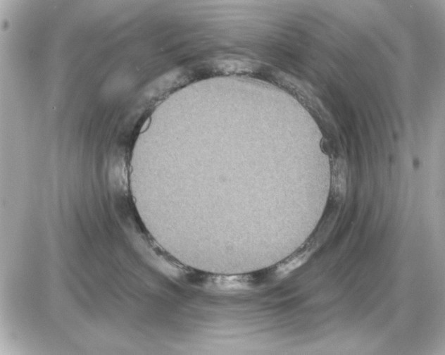 X0000085260622200704092116