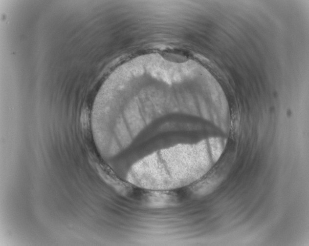 X0000085260623200704092116