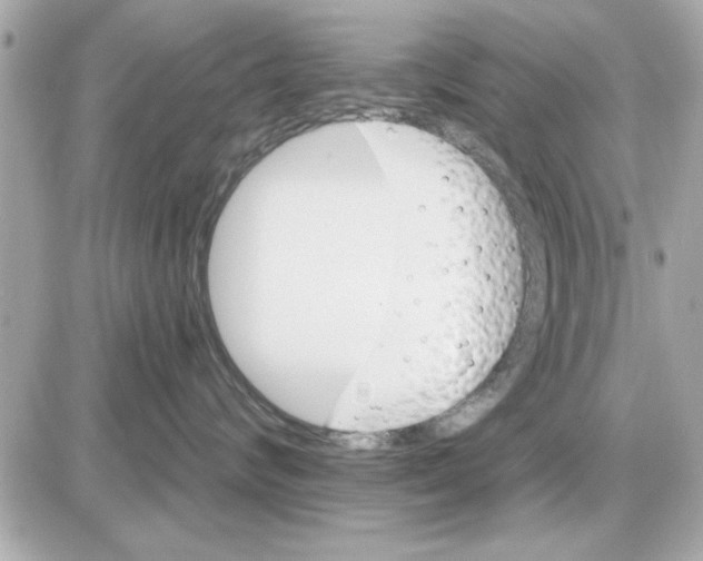 X0000085260624200704092116