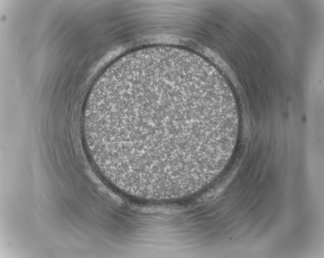 X0000085260625200704092115