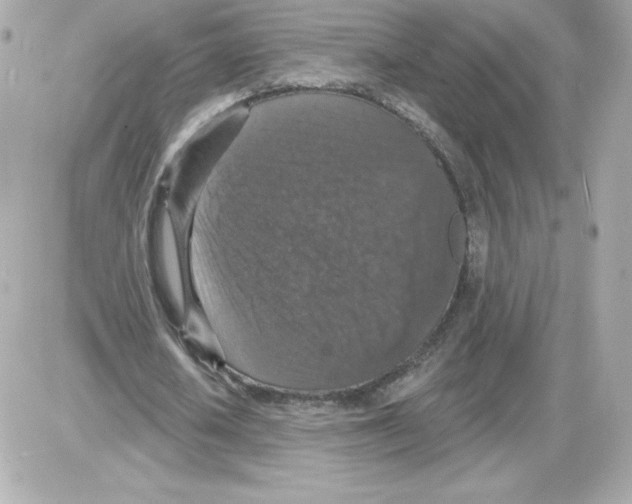 X0000085260626200704092115