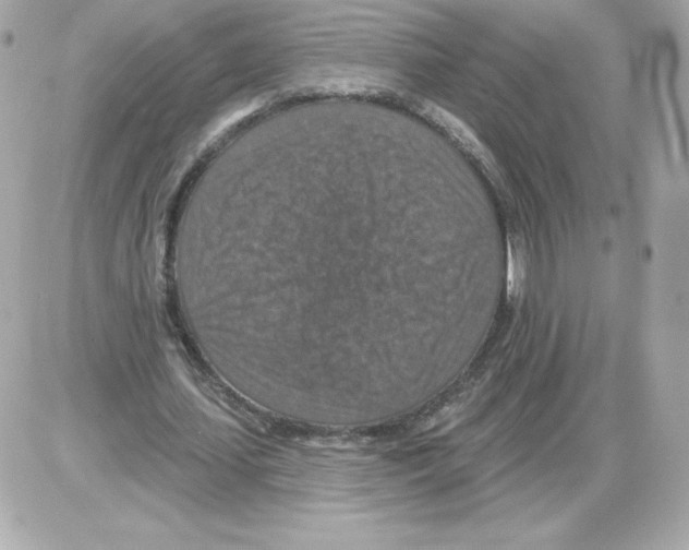 X0000085260627200704092115