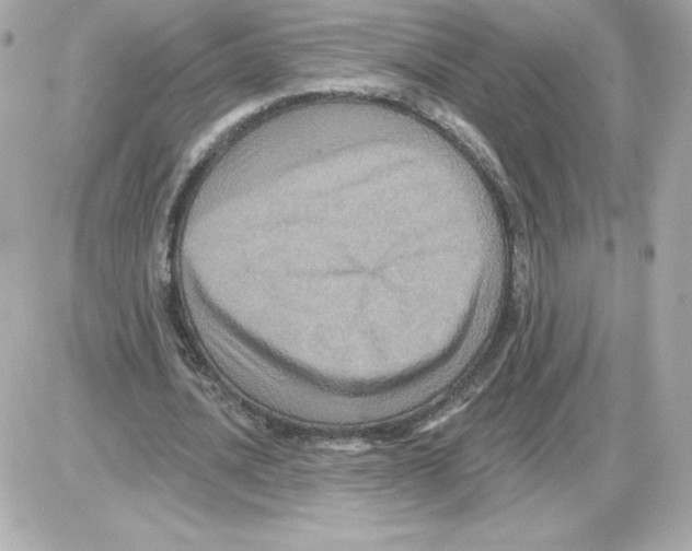 X0000085260628200704092115