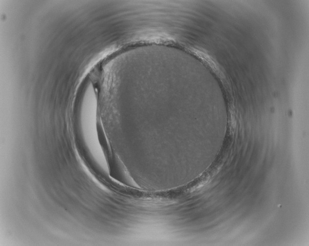 X0000085260630200704092115