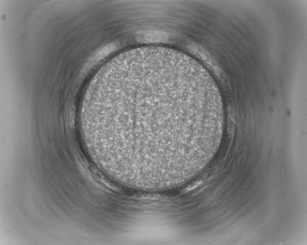 X0000085260631200704092115