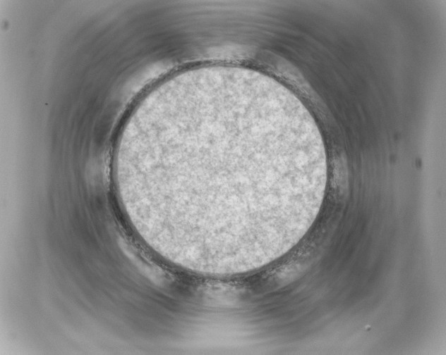 X0000085260632200704092115