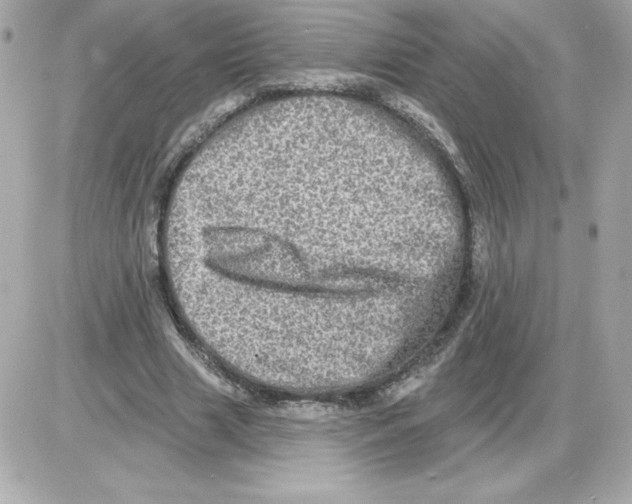 X0000085260633200704092115