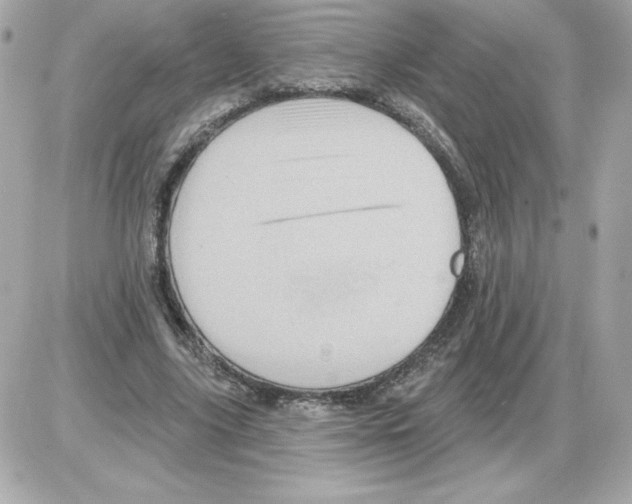 X0000085260635200704092115